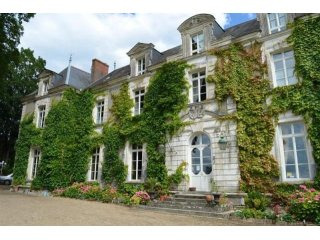 11 bedroom Castle For Sale: 72330 LE..