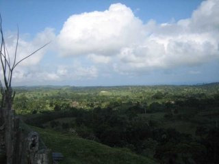 Beautiful Property - Farm And House In..