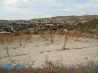 Agricultural Land in Psathi, Pafos