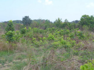 Large sea view building plot East..