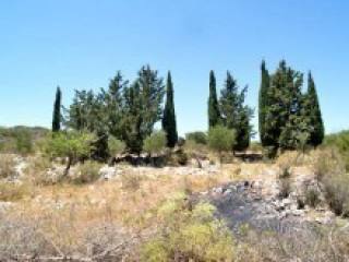 Big Land In Crete For Sale