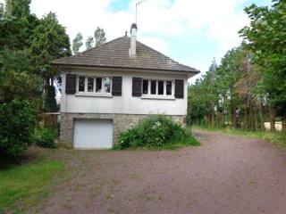 Traditional Detached House with Basement