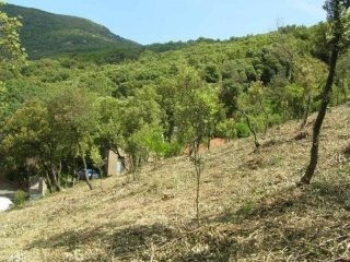 Land - Languedoc-Roussillon - For Sale