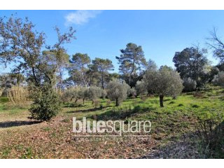 Plot of land to sale - Mougins