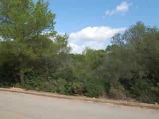 Building Plot In Peaceful Location In..