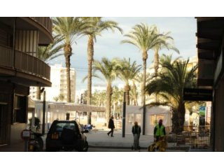 Apartment In Torrevieja, Alicante..
