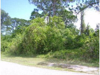 1465 Se Portillo Road, Port Saint..