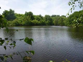 A Lake Set On Approx. 12.3ac Of Land In..