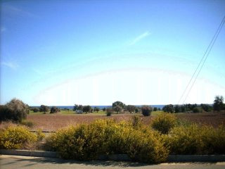 - Land - Larnaca - For Sale