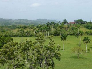 Farm In Jamao For Sale