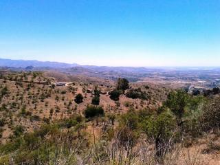 Finca for sale in Estacion de Cartama..