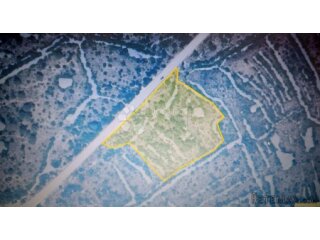BRODARICA - građevinsko zemljište 7430 m2