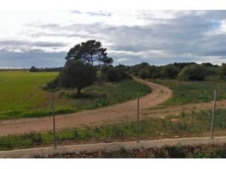 Large 150,000 M2 Plot In A Rustic Area..