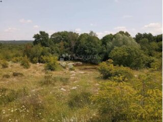 Poljoprivredno zemljište 3x 1315m2