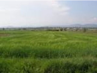 Flat Leisure Land Of 20.135 m2 Located..
