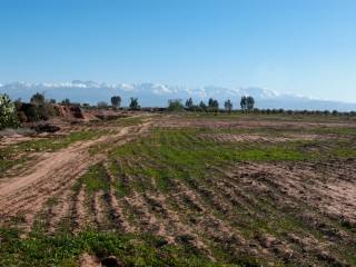2 ha Plot of Land - Titled - Rte..