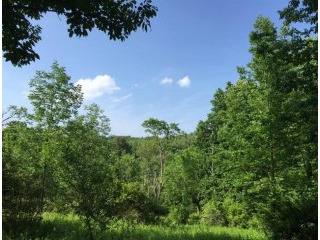 Land For Sale: Camby Rd Verbank NY 12585