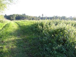 Perigord Vert : Building Plot Of 6817..
