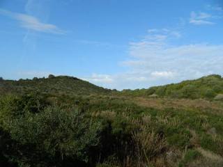 terreno vicino Arzachena