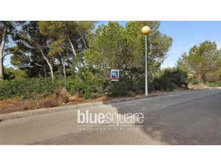 Sought after plot in excellent..