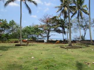 Land For Sale Jembrana Bali Indonesia..