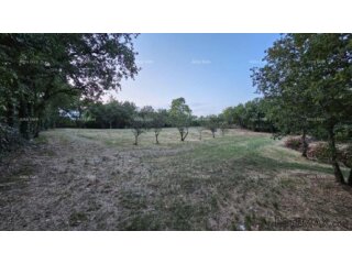 TINJAN - Građevinsko zemljište 3.623 m²