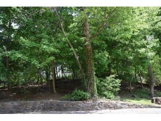 Land For Sale: Hartsdale, New York