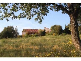 Lovely 3 Bed Villa With Garden And..