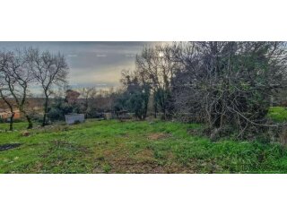 Nova Vas (Brtonigla) – Građevinsko zemljište 555 m²