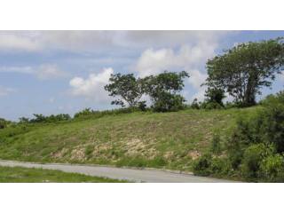 Property For Sale: Moncrieffe Lot, St...