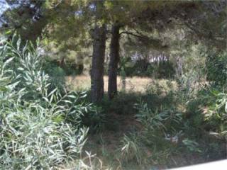 Ref.425 Terreno-PR. PARCELA, DENIA