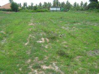 Huai Yai building plot of 800 sqm, nice..
