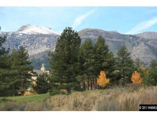 Land For Sale: Reno, Nevada