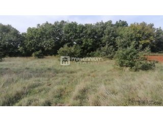 Istra, okolica Bala, poljoprivredno zemljište od 35.000m2