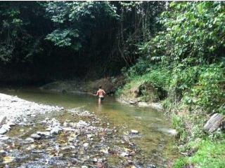 Agricultural Farm Near Rio San Juan