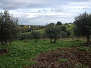 3 Bedrooms Farm For Sale - Portalegre