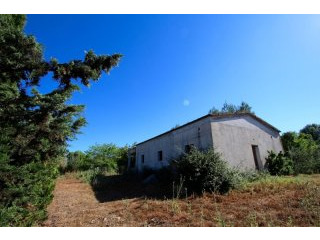 Finca under construction with project..