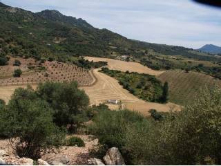 2 Bedrooms - Property - Malaga - For..