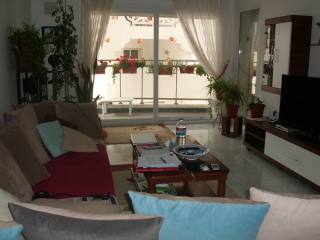 charming apartment in a luxurious..