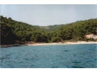 Real Estate Alonissos Greece