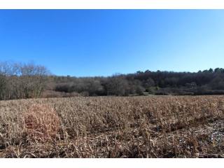 28016 - Vente - Terrain - Vergt