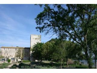 Castle For Sale: 30800 GARD