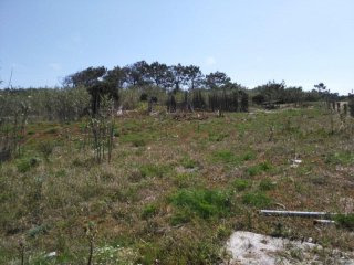 Land to build on the beach.