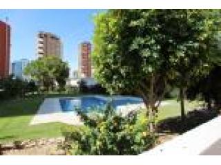 Apartment, Alicante (Costa Blanca)..