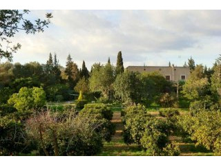 Country house with magnificent garden..
