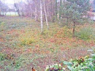 Building Plot Close To A Small Town In..