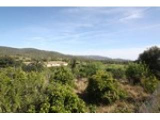 4 Bedrooms - Land - For Sale