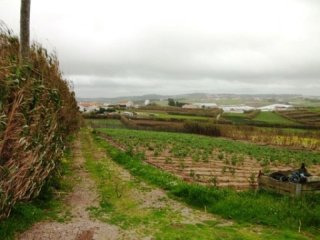 Land , Torres Vedras