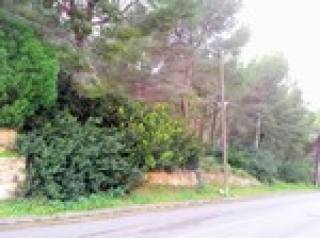 - Land - For Sale