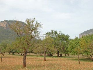 Plot In Superb Location With Mountain..